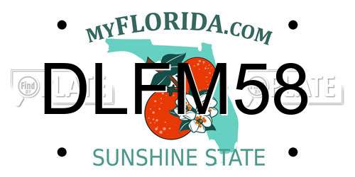 DLFM58 Florida License Plate