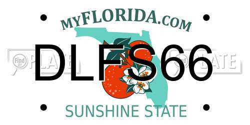 DLFS66 Florida License Plate
