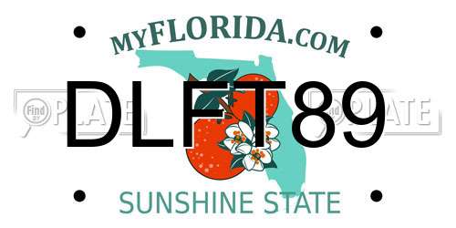 DLFT89 Florida License Plate