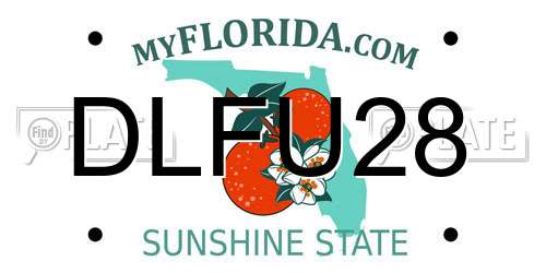 DLFU28 Florida License Plate