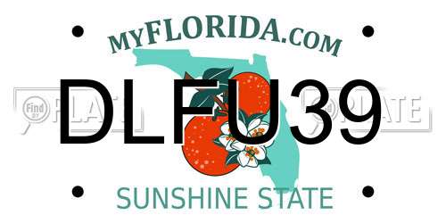 DLFU39 Florida License Plate