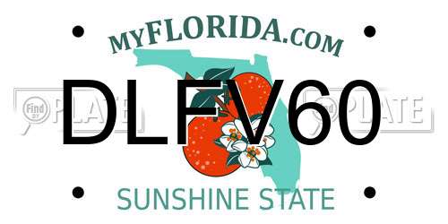 DLFV60 Florida License Plate