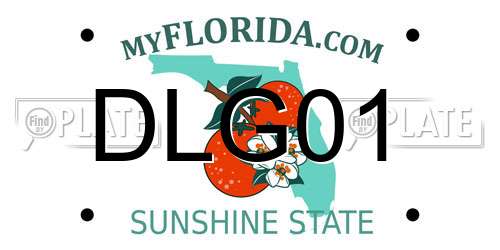DLG01 Florida License Plate