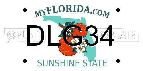 DLG34 Florida License Plate