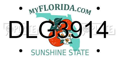 DLG3914 Florida License Plate