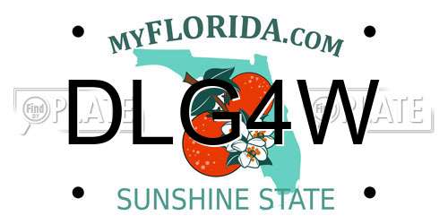 DLG4W Florida License Plate