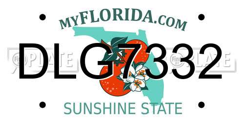 DLG7332 Florida License Plate