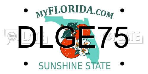 DLGE75 Florida License Plate