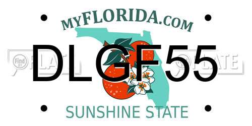 DLGF55 Florida License Plate