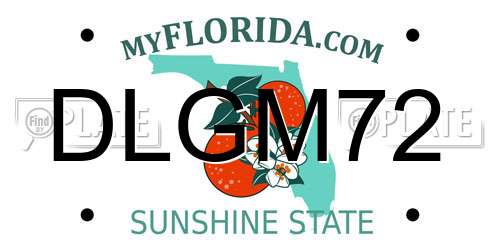 DLGM72 Florida License Plate