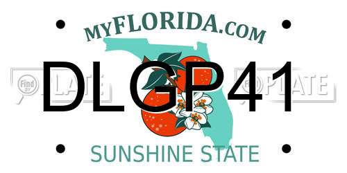 DLGP41 Florida License Plate