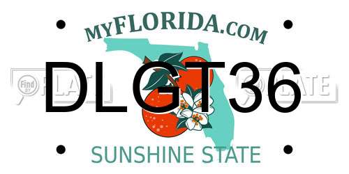 DLGT36 Florida License Plate