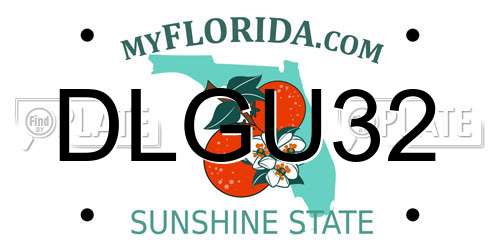 DLGU32 Florida License Plate