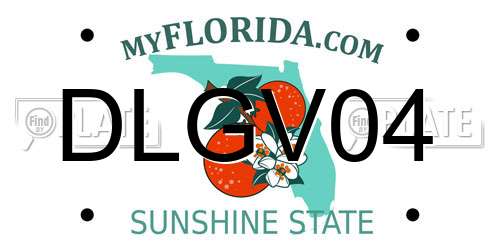 DLGV04 Florida License Plate