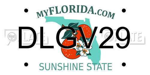 DLGV29 Florida License Plate