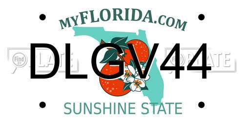 DLGV44 Florida License Plate