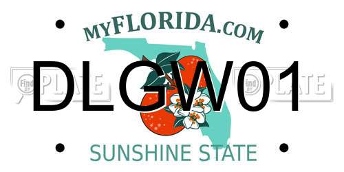 DLGW01 Florida License Plate