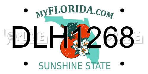 DLH1268 Florida License Plate