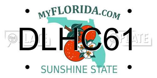 DLHC61 Florida License Plate