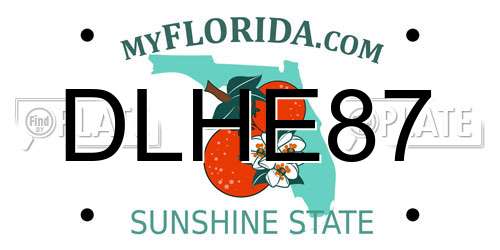 DLHE87 Florida License Plate