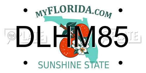DLHM85 Florida License Plate