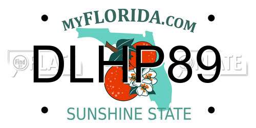 DLHP89 Florida License Plate