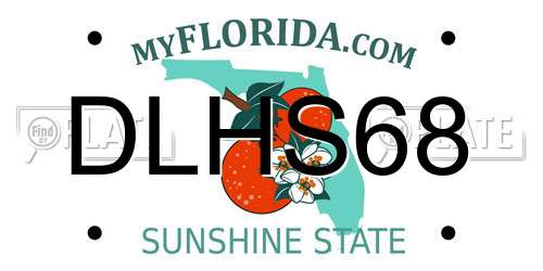 DLHS68 Florida License Plate