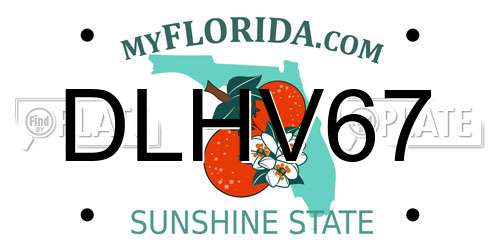 DLHV67 Florida License Plate