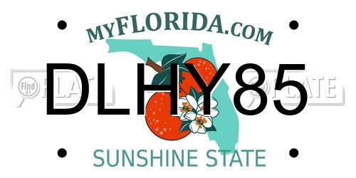 DLHY85 Florida License Plate