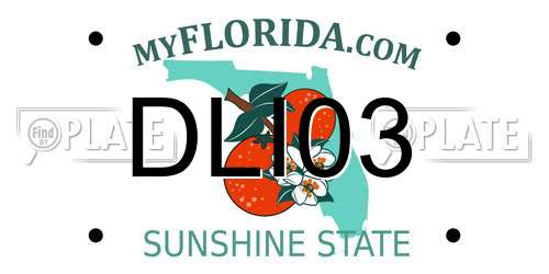 DLI03 Florida License Plate