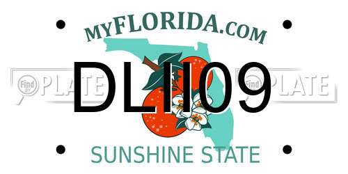 DLII09 Florida License Plate
