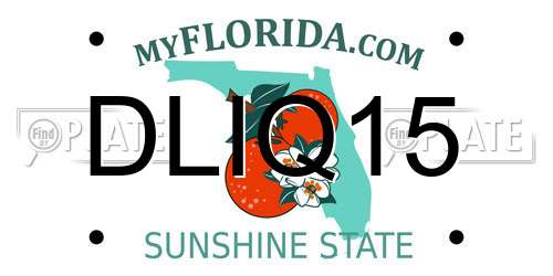 DLIQ15 Florida License Plate