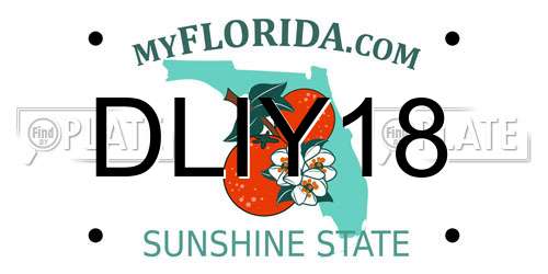 DLIY18 Florida License Plate