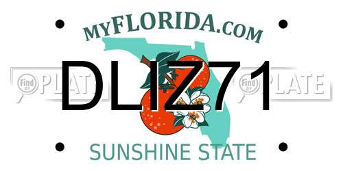 DLIZ71 Florida License Plate
