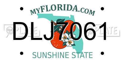 DLJ7061 Florida License Plate