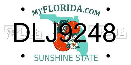DLJ9248 Florida License Plate