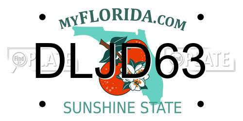 DLJD63 Florida License Plate