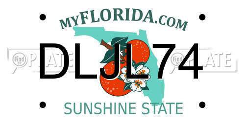 DLJL74 Florida License Plate