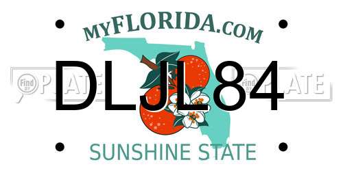 DLJL84 Florida License Plate