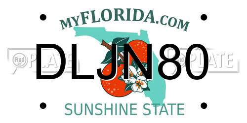 DLJN80 Florida License Plate