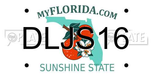 DLJS16 Florida License Plate