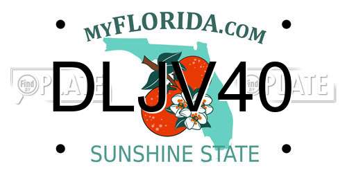DLJV40 Florida License Plate