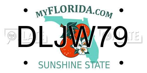 DLJW79 Florida License Plate