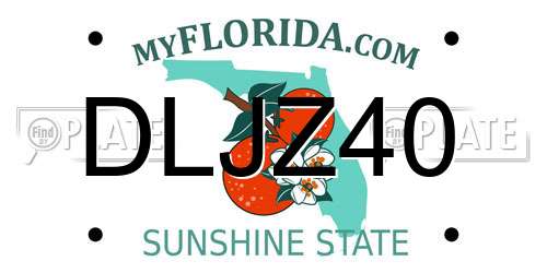 DLJZ40 Florida License Plate