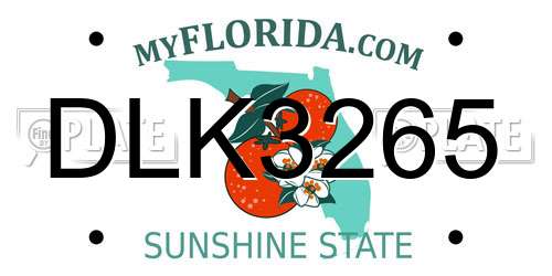 DLK3265 Florida License Plate