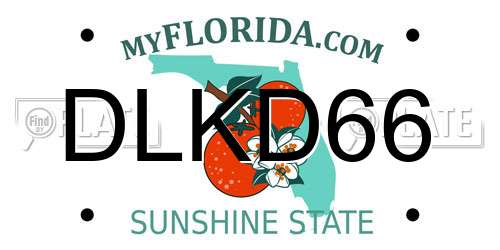 DLKD66 Florida License Plate