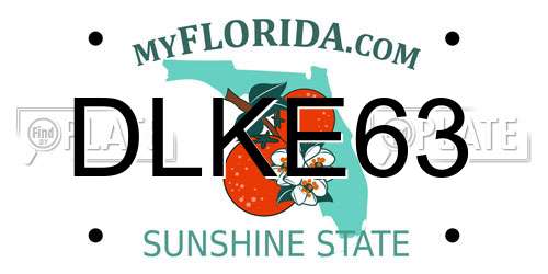DLKE63 Florida License Plate