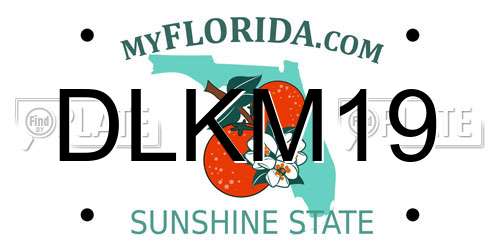 DLKM19 Florida License Plate