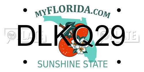 DLKQ29 Florida License Plate