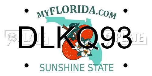 DLKQ93 Florida License Plate